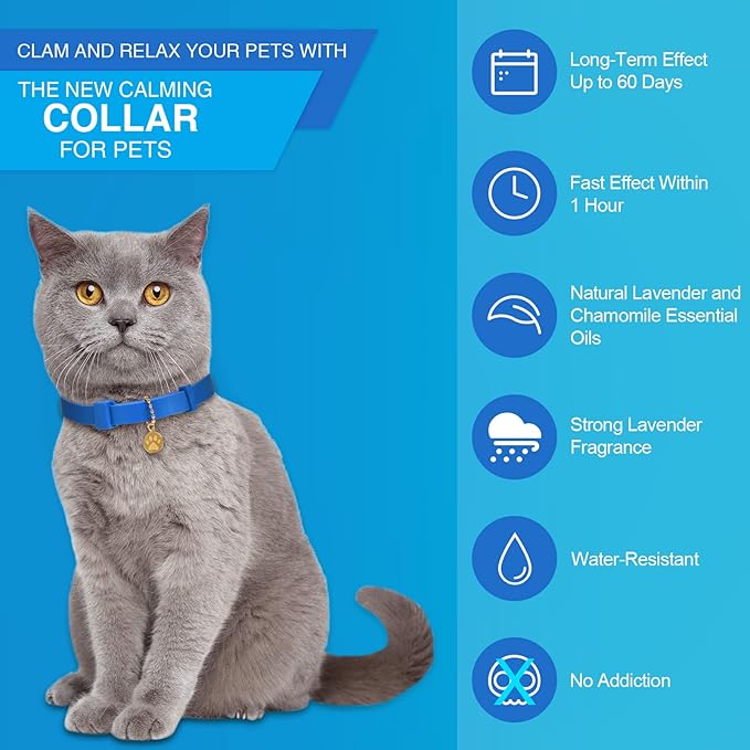 4 Pcs Cat Calming Collar Adjustable Lavender Scent Relaxing Cat Collar with 2 Pendant for Puppies Reduce Stress Aggression Anxious, up to 15 Inches(Blue)-PawvioPets