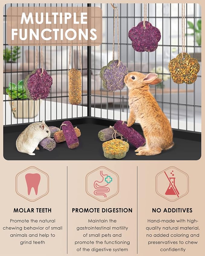 Bissap 12PCS Rabbit Chew Sticks, Hanging Chew Sticks & Cakes Timothy Hay Carrot Strawberry Treat for Bunny Chinchilla Guinea Pig Hamster and Other Small Pets Molar Snack Toy-PawvioPets