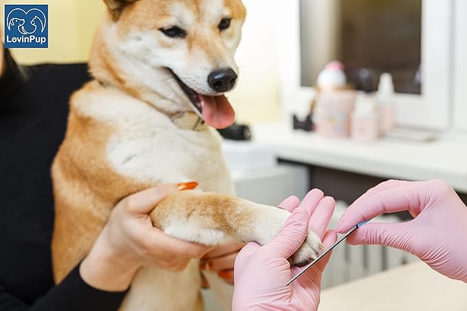 Dog Nail Filer, Professional Nail Grooming Tool, Dog and Cat Nail Files, for Smoothing Rough Edges of Pet’s Nails, Best Nail Filer for Small/Large Dogs & Cats (3 Dog Nail Filers Set)-PawvioPets