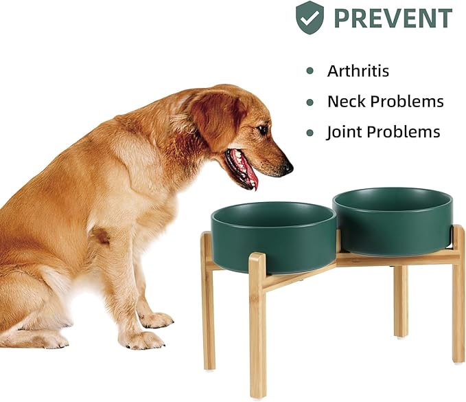Ceramic Raised Double Bowls Set with Stand, Food & Water Bowls for Large Breed Dogs, Weighted Dog Dishes, Pet Bowl(8.2'',60OZ, Green)-PawvioPets