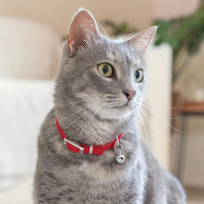 CollarDirect Leather Cat Collar with Bell - Kitten Collar, Small and Big Cat Strap for Boy Cats, Girl Cats with Safety Elastic Strap (Neck Fit 6"-7", Red)-PawvioPets