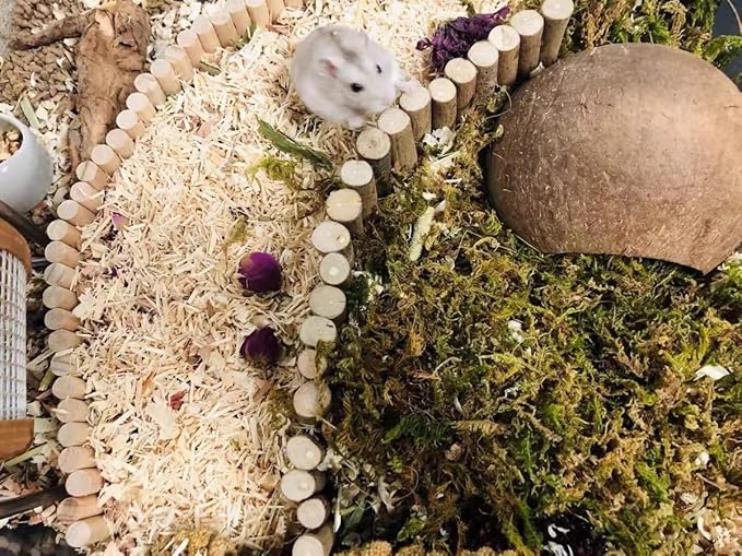 5L Forest Moss for Hamster Syrian Gerbils Bedding, Natural Moss Perfect for Potted Plants, Terrariums, Reptile Tanks and Live Creature Projects-PawvioPets