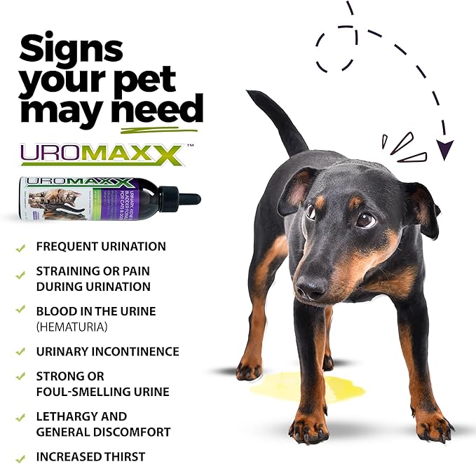 Cat & Dog Urinary Tract Treatment, Bladder & Kidney Support for Dogs and Cats, Powerful Yet Gentle Pet Care, with Liquid Cranberry & Glucosamine, Chicken Flavor, 6 oz Bottle, 2 Pack-PawvioPets