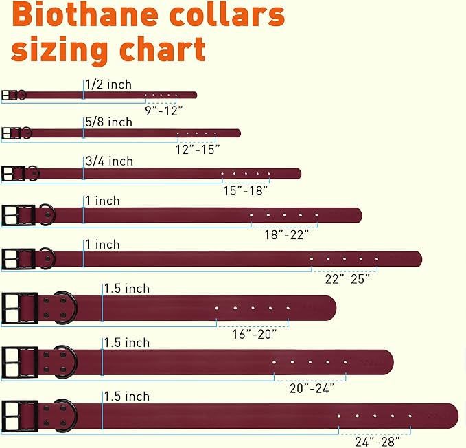 Dogline Biothane Waterproof Dog Collar Strong Coated Nylon Webbing with Black Hardware Odor- Proof for Easy Care Easy to Clean High Performance Fits Small Medium or Large Dogs, Merlot Burgundy-PawvioPets