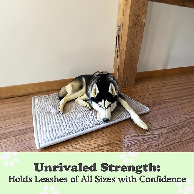 Canine Hitch- Secure Dog Leash Parking Wall Slim Hook with Clip 6 Pack - Tie Out Stainless Steel & ABS Mounting Plate for Strength - Practical Lead Management for Home & Business-PawvioPets