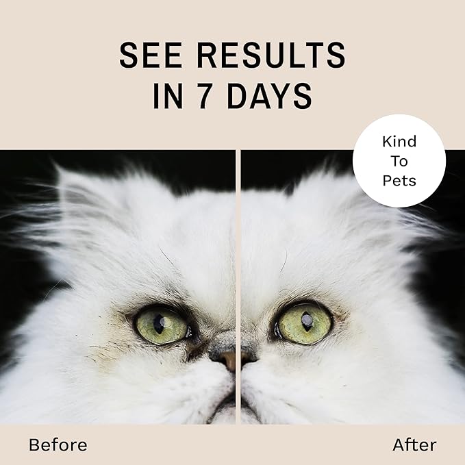 Eye Envy Tear Stain Wipes for Cats. Textured to Gently Clean, Treats The Cause of Staining. 100% Natural Formula. Recommended by Persian & Exotic Breeders, Vets, Groomers. USA Made. 60 Cat Eye Wipes-PawvioPets