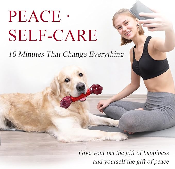 Apasiri Tough Dog Toys for Aggressive Chewers Large Breed, 2-Pack Dogs Chew Toys for Large Medium Dogs, Nylon and Rubber Dog-Bones for Teething Chew, Beef Flavor, for Doggo 20-75 lbs-PawvioPets