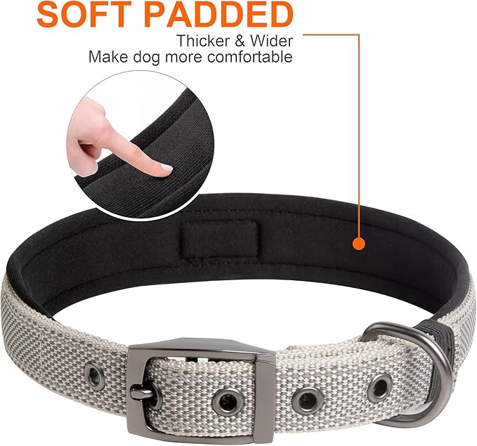 Fida Heavy Duty Dog Collar, Ultra Comfortable Soft Neoprene Padded, Adjustable Reflective Nylon Pet Collar with Durable Metal Belt Buckle for Small Breeds (S, Grey)-PawvioPets
