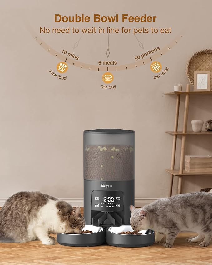 Automatic Cat Feeders - 6L Cat Food Dispenser with Double Bowls, Programmable Timed Feeder for Up to 6 Meals per Day with 10S Voice Recorder, Supports Dual Power Supply-PawvioPets