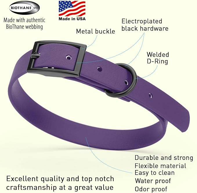 Dogline Biothane Waterproof Dog Collar Strong Coated Nylon Webbing with Black Hardware Odor- Proof for Easy Care Easy to Clean High Performance Fits Small Medium or Large Dogs, Violet Purple-PawvioPets