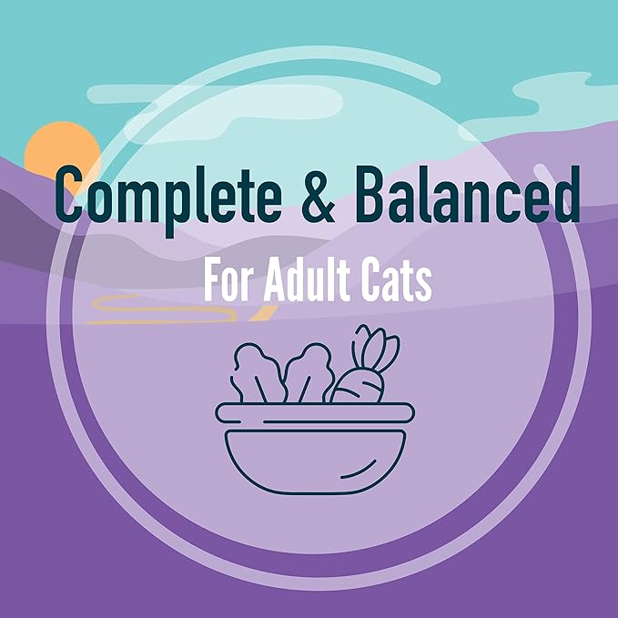 A Strong Heart Canned Wet Cat Food, Salmon Dinner Paté - 3 oz Cans (Pack of 24), Made in The USA with Real Salmon-PawvioPets