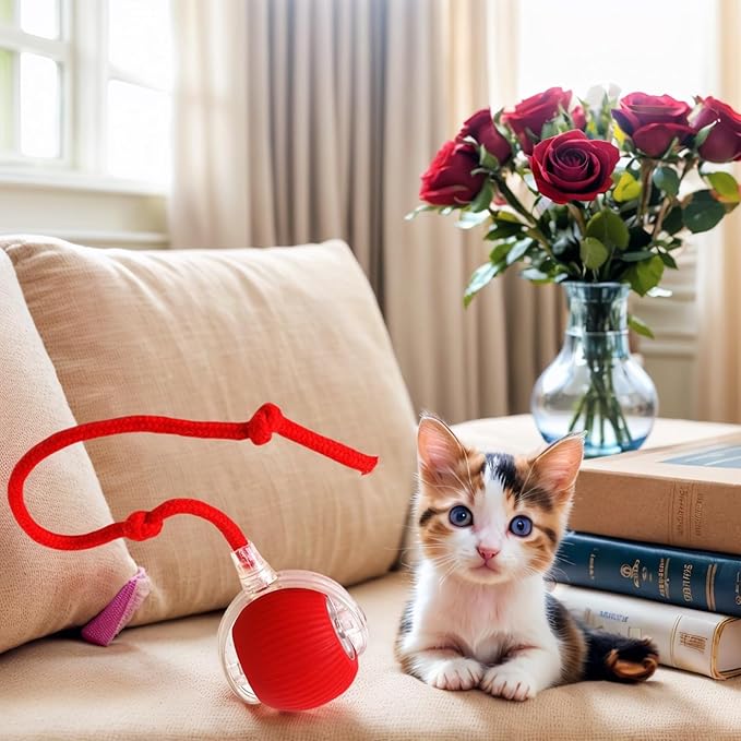 Electric Cat Toy - Automatic Rolling cat Toy with Motion sensors, Designed for Indoor Cats, Suitable for Solo Play (USB Rechargeable) (Red)-PawvioPets