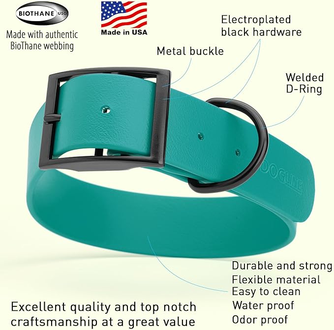 Dogline Biothane Waterproof Dog Collar Strong Coated Nylon Webbing with Black Hardware Odor- Proof for Easy Care Easy to Clean High Performance Fits Small Medium or Large Dogs, Blue Aqua-PawvioPets