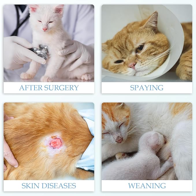 ANWA 2 Pack Cat Recovery Suit - Breathable Cat Onesie for Cats After Surgery Female, Kitten Surgery Recovery Suit Female Abdominal Wounds-PawvioPets