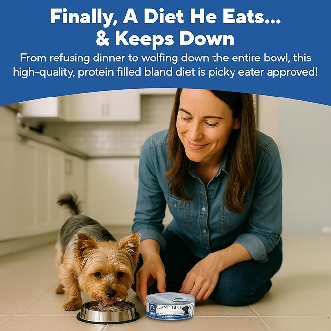 Dave's Pet Food Sensitive Stomach Dog Food (Chicken & Rice), Easy to Digest, Gluten-Free, Digestive Care, Wet Canned, 5.5 oz (Case of 24)-PawvioPets