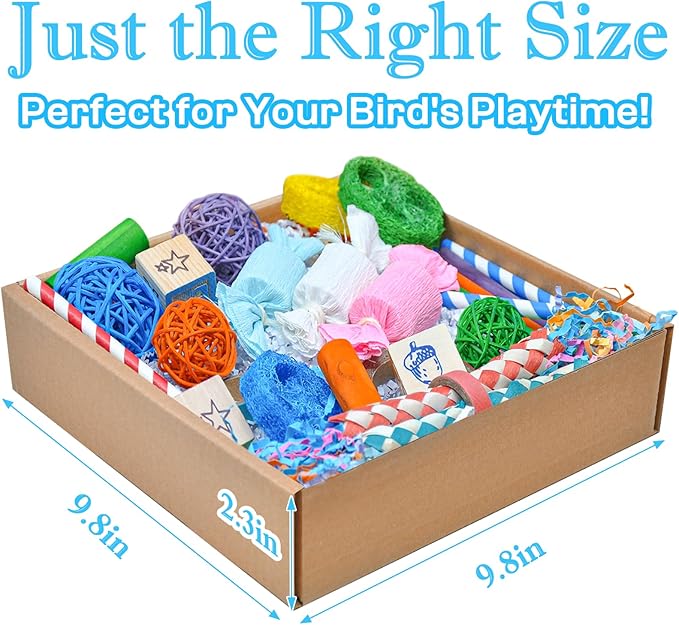 Colorful Bird Foraging & Shredding Toys Box – Safe Bird Toys for Parakeets, Cockatiels, Conures & Small Birds, Perfect for Spring and Summer-PawvioPets