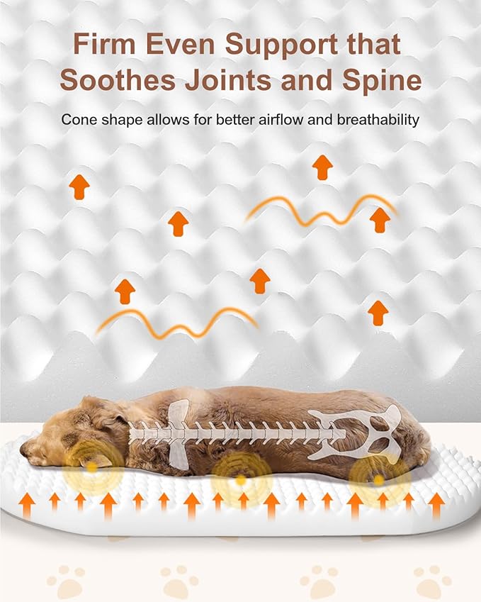 Dog Beds for Jumbo Dogs, 47.5"x35"x7.6", Removable and Washable Cover, Raised Reboundable Edges, Non Slip Bottom, Extra Big Size, Orthopedic Oval Memory Foam Pet Bedding, Indoor-PawvioPets