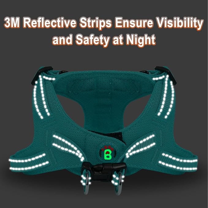Dog Harness Step in Dog Vest Harness, Reflective Adjustable Puppy No Pull Harness Breathable Soft for Small and Medium Dogs Cats, Ocean Blue, XXS-PawvioPets