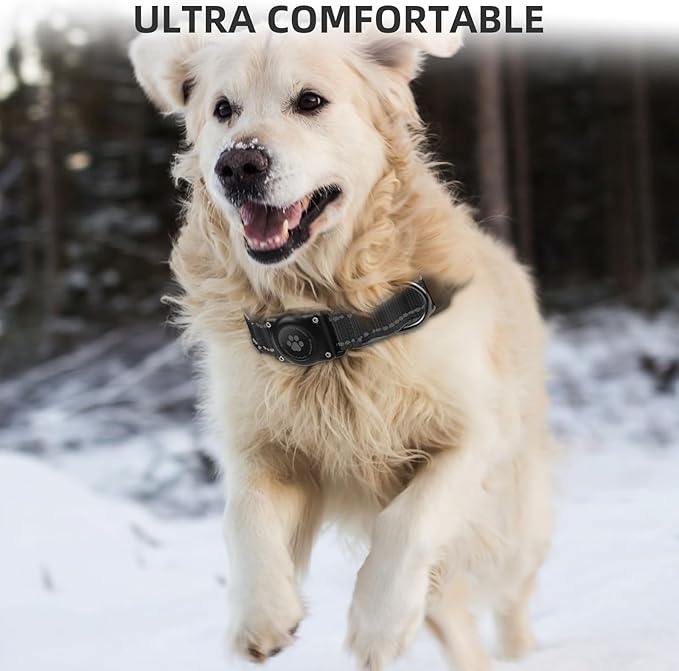 Airtag Dog Collar - 100% Waterproof Air tag Dog Collar Holder for Apple AirTag, Reflective, Soft Padded, Everlasting, GPS Dog Collar for Small Medium Large Dogs (Black, M)-PawvioPets