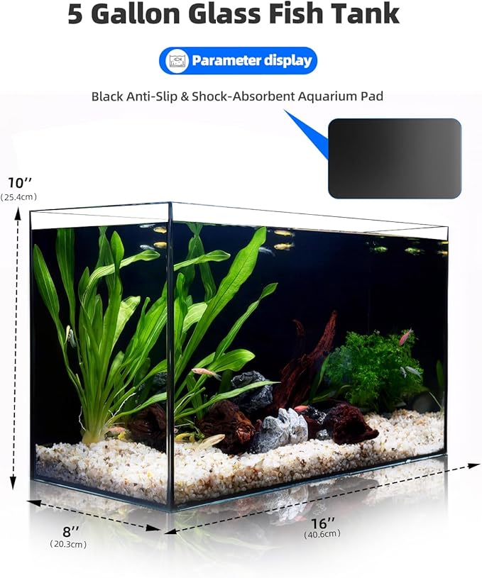 5 Gallon Clear Glass Fish Tank, Easy to Maintain Small Aquariumfor Betta, Goldfish, Snail,Shrimp and Aquatic Planting-PawvioPets