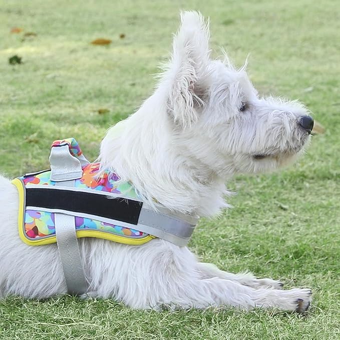 Bolux Dog Harness, No-Pull Reflective Dog Vest, Breathable Adjustable Pet Harness with Handle for Outdoor Walking - No More Pulling, Tugging or Choking (X-Small (Pack of 1), Watercolour)-PawvioPets