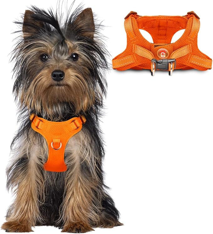 Dog Harness Step in Dog Vest Harness, Reflective Adjustable Puppy No Pull Harness Breathable Soft for Small and Medium Dogs Cats, Orange, XXS-PawvioPets