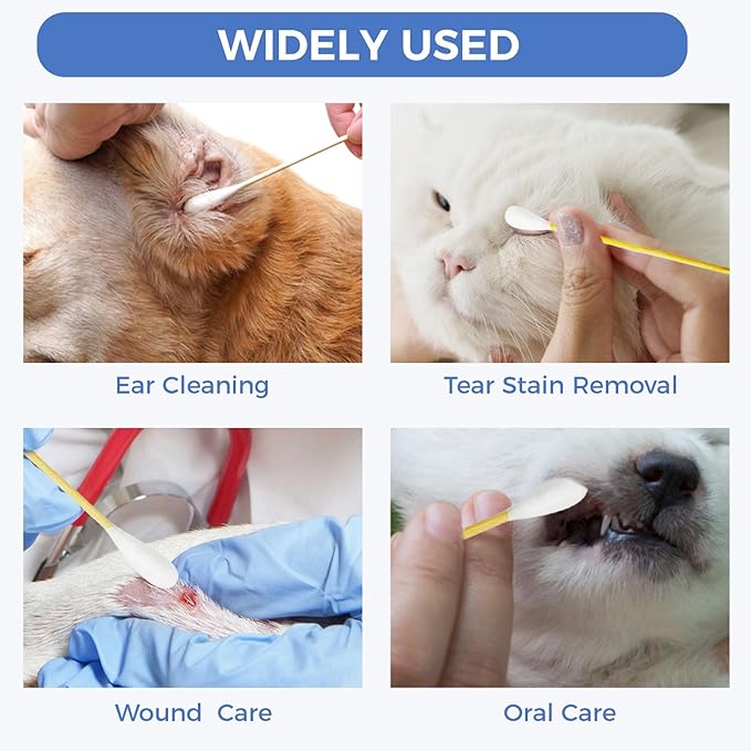 GOLD HONEY 6 Inch Large Cotton Swabs, 100PCS Dog Ear Swabs with Bamboo Handle for Dogs, Pet-Specific, Gentle Design, Lint-Free, Canine Cotton Stick Ear Cleaning-PawvioPets