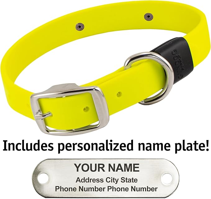 Biothane Custom Dog Collar – Waterproof, Stink-Proof Personalized Collar with Name & Phone Number – Durable, Many Sizes and Colors – Assembled in USA (Bright Yellow)-PawvioPets