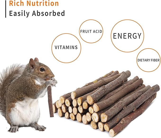 600g Apple Sticks Molar Wood Treats, Rabbit Toys Chinchilla Guinea Pig Bunny Toys Wood Chews Sticks for Teeth Rabbit Food Guinea Pig Hamster Gerbil Chews Small Animals Snacks(150 Pcs)-PawvioPets