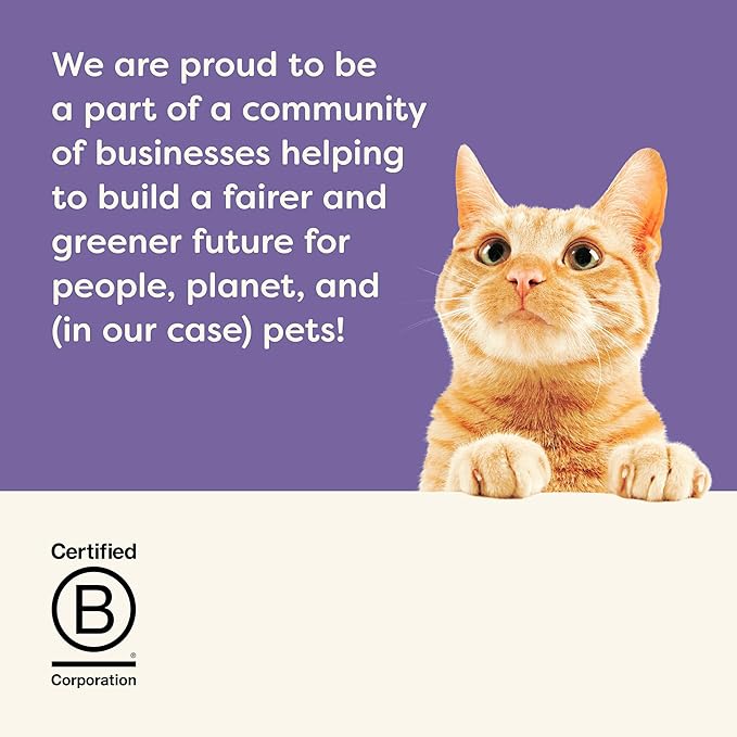 Applaws Natural Wet Cat Food in Broth, Made with Limited and Natural Ingredients, Chicken Selection Variety Pack in Broth (12 x 5.5oz Cans)-PawvioPets