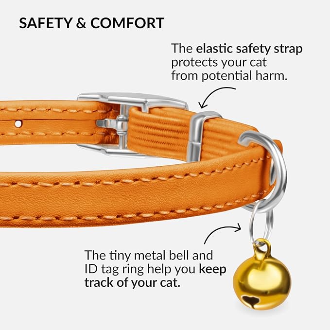 CollarDirect Leather Cat Collar with Bell - Kitten Collar, Small and Big Cat Strap for Boy Cats, Girl Cats with Safety Elastic Strap (Neck Fit 6"-7", Orange)-PawvioPets