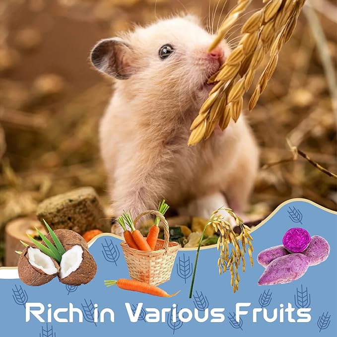 Garden Fruit & Vegetable Hamster Food Mix Natural Small Pet Food Made for Hamsters 1LB Critical Care Healthy Dwarf Hamsters Feed New Packaging-PawvioPets