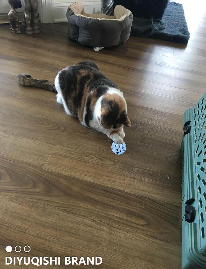 15-Pack Cat Toy Variety for Indoor Cats, Jumping for Joy (1.5'' - 3.7'', Cat Toys Mega Set)-PawvioPets