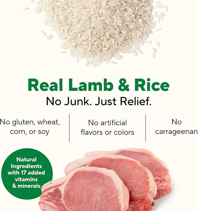 Dave's Pet Food Bland Dog Food (Lamb & Rice), Canned Wet Dog Food for Sensitive Stomachs, Gluten-Free, Digestive Care, 13.2 oz (Case of 12)-PawvioPets