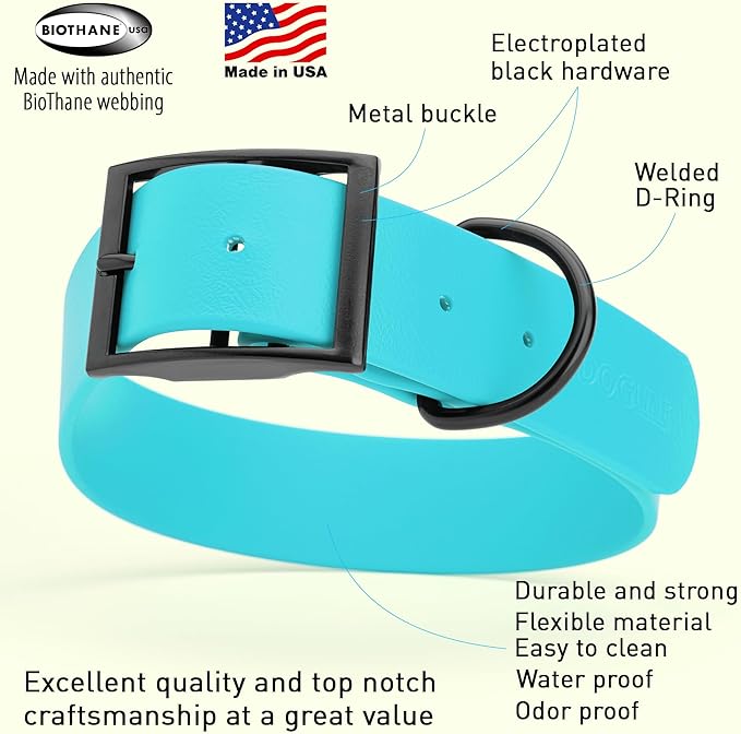 Dogline Biothane Waterproof Dog Collar Strong Coated Nylon Webbing with Black Hardware Odor- Proof for Easy Care Easy to Clean High Performance Fits Small Medium or Large Dogs, Sky Blue-PawvioPets