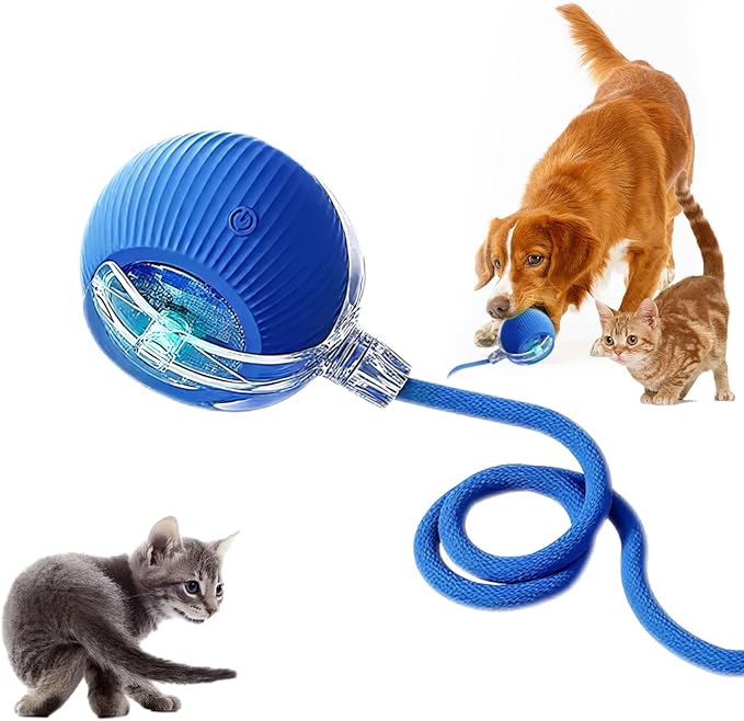 Cat Ball Toy,New Interactive Rolling Cats Dog Toy Balls 360° Smart Automatic Rolling Pet Ball, Fast Moving Toy for Dog,Interactive Toys for Cats (Blue)-PawvioPets