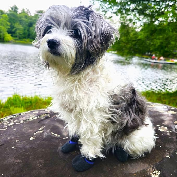 Double Dipped Thick Textured Waterproof Cotton Dog Socks | PawFlex Comfy Pawz Soft Indoor/Outdoor Pet Booties | Non-Slip Silicone Grip at Inner Wrist for No Twisting or Sliding Off| Adjustable Strap-PawvioPets