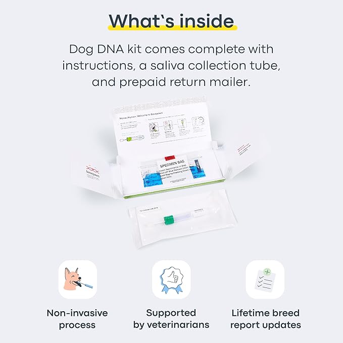 Basepaws Cat DNA Test Kit - Comprehensive Breed, Health and Dental Analysis Across 114 Traits for Accurate and Easy-to-Use Genetic Insights-PawvioPets