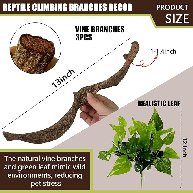 BNOSDM 3 Pcs Reptile Climbing Branches Decor,Snake Climbing Branch,Gecko Climb Wood,Lizard Forest Branch,Tank Habitat Tree Trunk Decorations for Bearded Dragons,Chameleons,Spider,Frogs (S)-PawvioPets