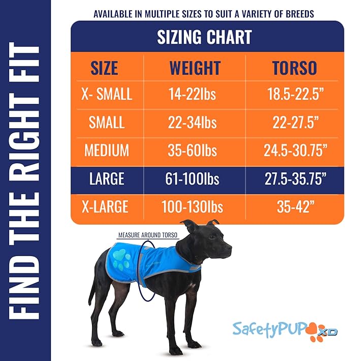 Dog Reflective Vest – Hi-Vis Fluorescent Visibility That Helps to Safeguard Your Pet On/Off Leash in Urban & Rural Areas (Blue, Large)-PawvioPets