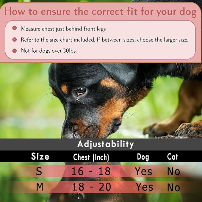 Comfort Fit Dog Harness Soft Padded No Pull Harness with Adjustable Buckles for Small Medium Large Dogs Step in Pet Vest with Easy Control Handle for Walking Jogging Running Training Dogs & Puppies-PawvioPets