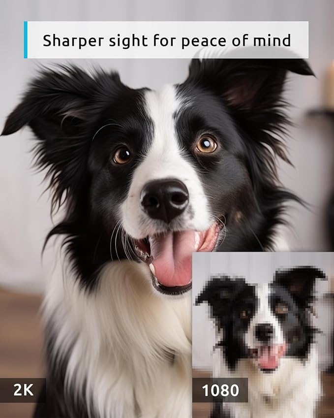 blurams Pet Camera 2K, 360° Dog Camera with Phone App, PTZ Indoor Cameras for Home Security Indoor, 2-Way Audio, Motion Tracking, Color/IR Night Vision, Siren, Cloud&SD(2.4GHz Only)-PawvioPets