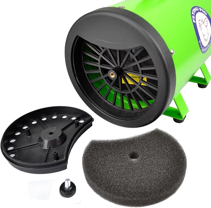 Flying Pig High Velocity Dog Pet Grooming Dryer w/Heater (Model: Flying One, Green)-PawvioPets