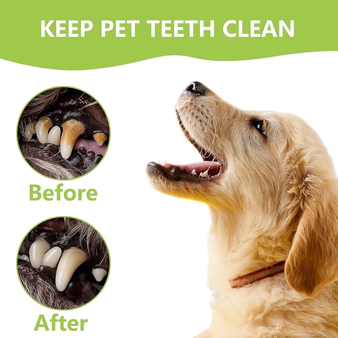 Dental Tools Pet Dog Teeth Cleaner Tool Kit, Stainless Steel Plaque Remover Dental Picks Tooth Tartar Scraper, Pets Oral Care Hygiene Set for Cats and Dogs Use with Case-PawvioPets