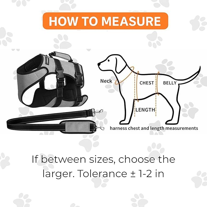 Ayquez Dog Lift Harness with Storage and Transport Bag, Dog Harness with Handle for Lifting & Hip dysplasia, arnés para Perros pequeños, pechera para Perros (Gray, XXL)-PawvioPets