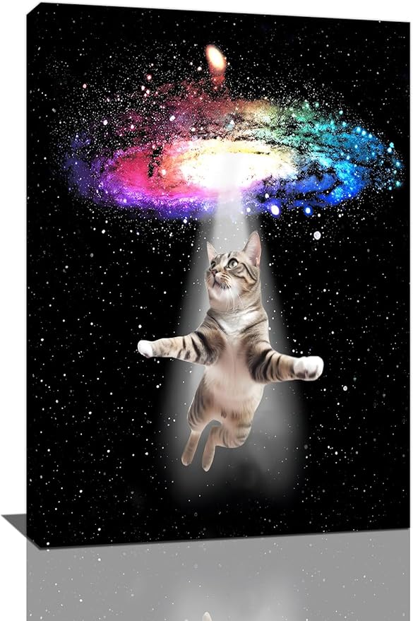 Funny Cat Wall Art Canvas Galaxy Wall Decor Prints Framed Painting Animal Pictures Gifts Artwork for Bathroom Living Dining Kitchen 16"x24"-PawvioPets
