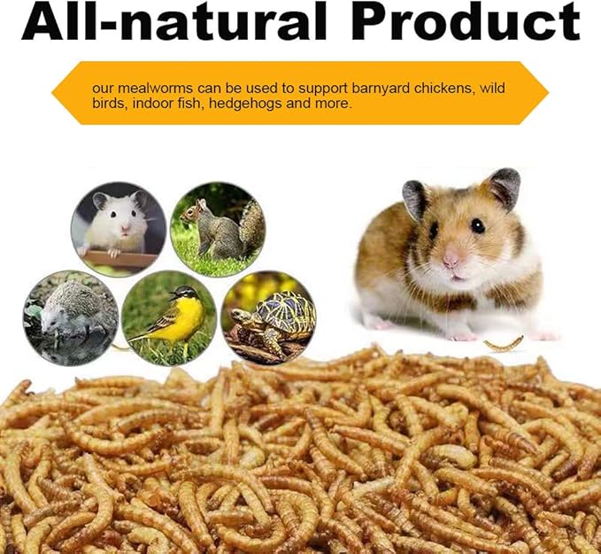 20lbs Mealworms, High-Protein Dried Mealworms for Birds, Chickens, Turtles, Fish, Hamsters and Hedgehogs, Non-GMO and Chemical Free, All Natural Animal Feed-PawvioPets