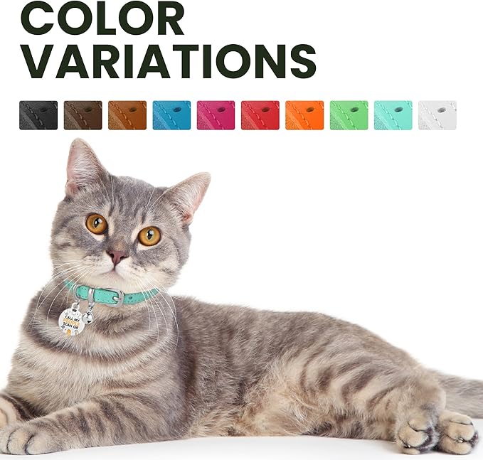 BRONZEDOG Leather Cat Collar with Removable Bells Non Breakaway Kitten QR Tag for Girl Boy (7" - 9" for Cats, Turquoise & Silver)-PawvioPets