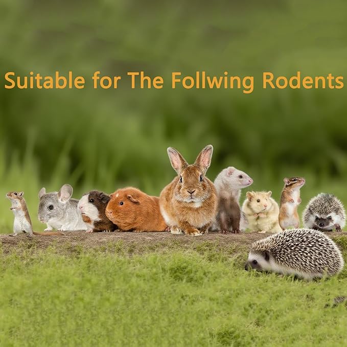 Dandelion Treat - High Fiber Food for Chinchillas, Guinea Pigs & Squirrels - 5 Herbal Blends, 6oz - Rabbit, Hamster & Small Pet Snack-PawvioPets