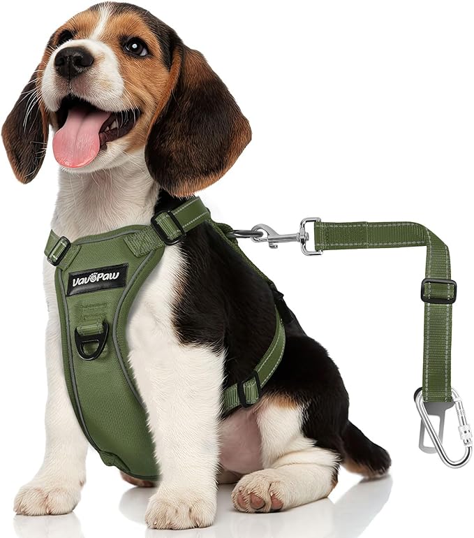 Dog Seat Belt Harness for Car, Dog Car Harness Adjustable Mesh Breathable & Dogs Seatbelt Safety Tether with Elastic Bungee for Small Medium Large Pets(Army Green, M)-PawvioPets